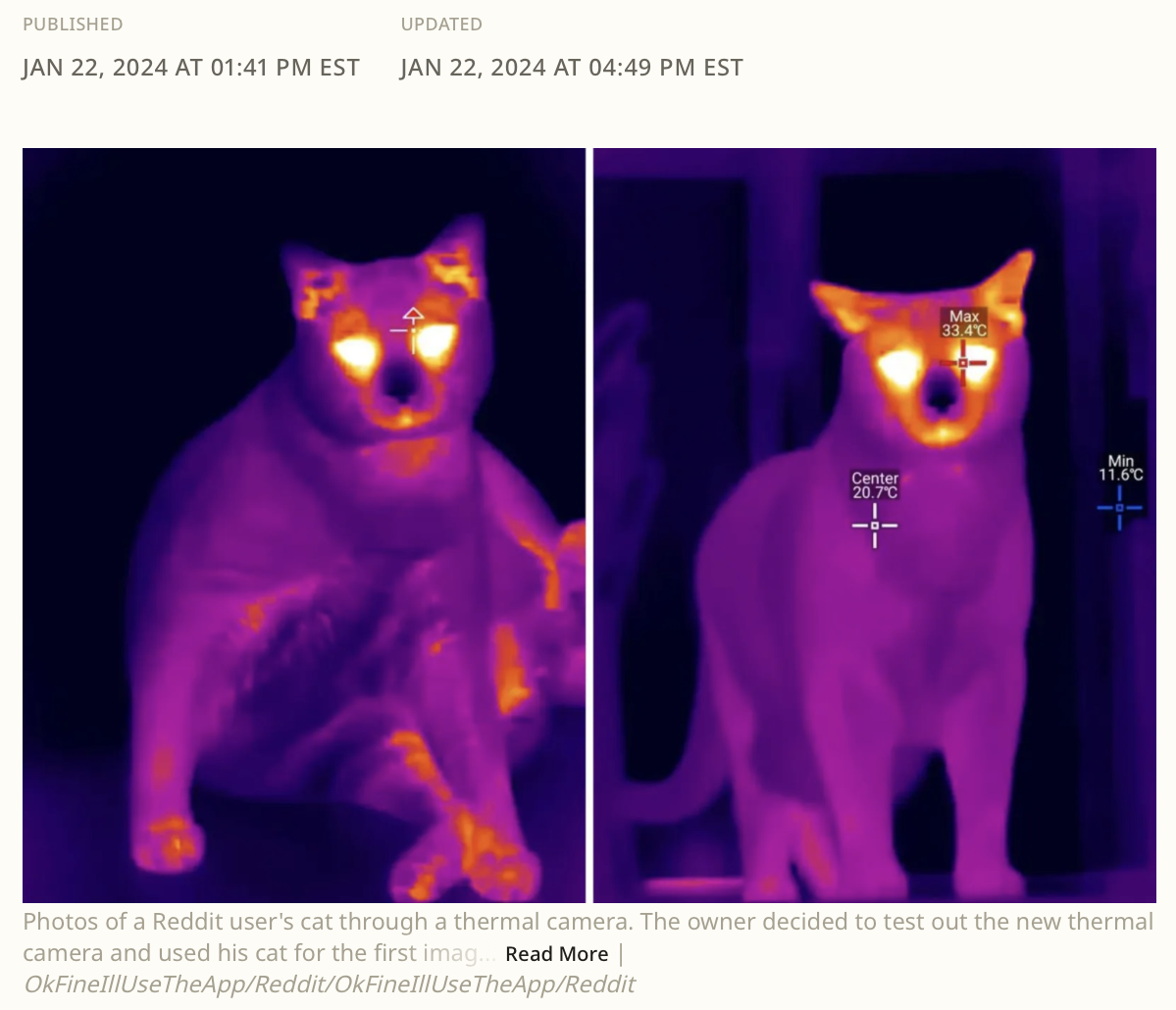 thermal camera photos of cat, as seen in Newsweek
