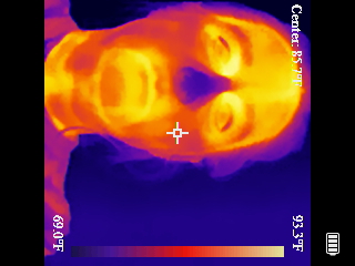 Thermal image scan