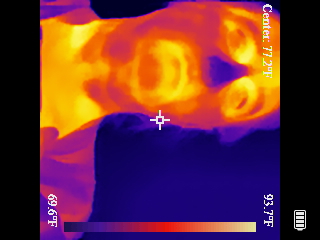 Thermal image scan