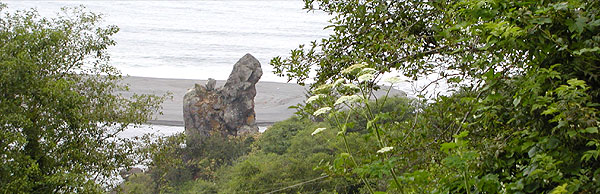 Oregos at Klamath Mouth