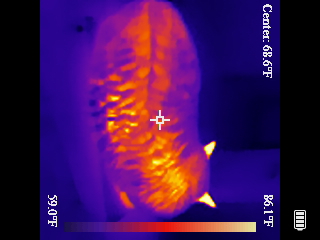 Thermal image scan