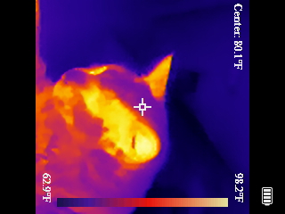 Thermal image scan
