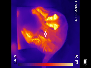 Thermal image scan