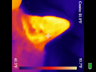 Thermal image scan